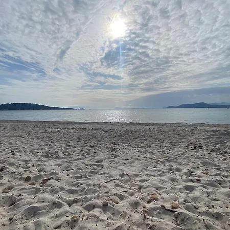 Les Cigales Rez De Jardin A 10mn Des Belles Plages * Йер