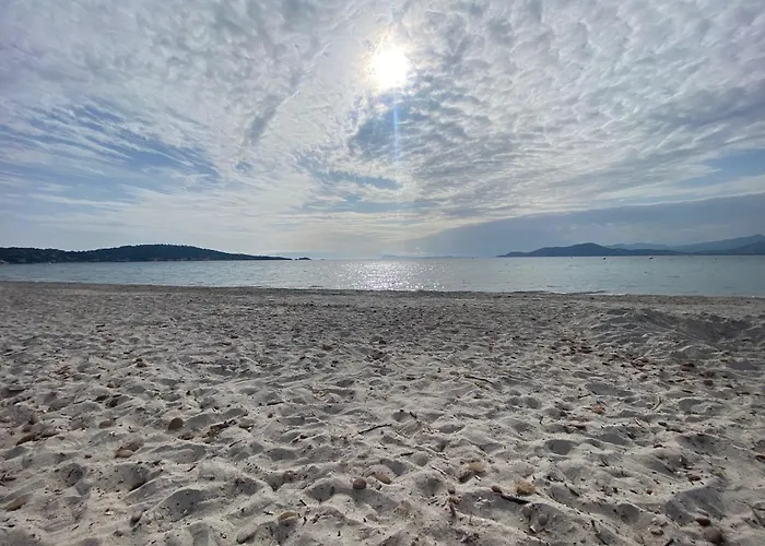 Les Cigales Rez De Jardin A 10mn Des Belles Plages * Hyères
